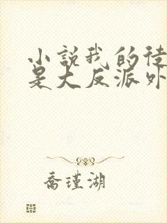 小说我的徒弟都是大反派外传