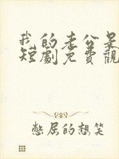 我的老公是总裁短剧免费观看全集