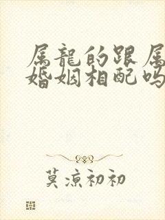 属龙的跟属龙的婚姻相配吗