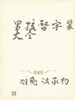 男孩启字辈取名大全