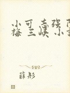 小可 志强 阿梅 三峡 小说免费阅读