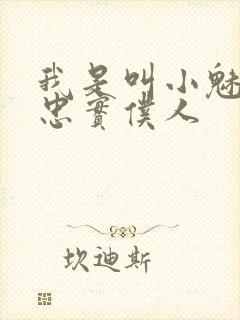 我是叫小魅魔的忠实仆人封面