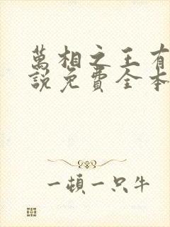 万相之王有声小说免费全本完整版