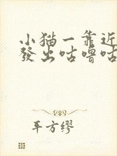 小猫一靠近我就发出咕噜咕噜的声音封面