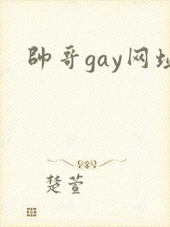 帅哥gay网址