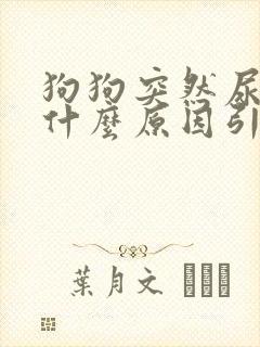 狗狗突然尿血是什么原因引起的