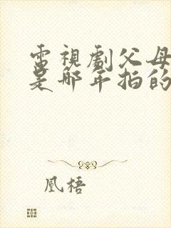 电视剧父母爱情是哪年拍的