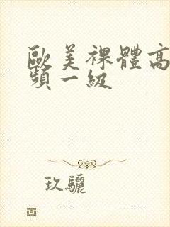 欧美裸体高清视频一级