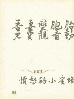 吾妻双胞胎全集免费观看动漫