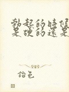 勃起的时候龟头是硬的还是软的封面