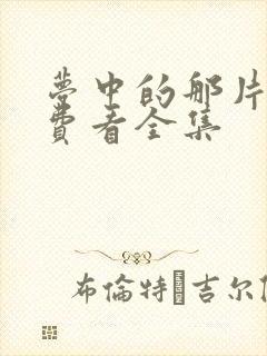 梦中的那片海免费看全集