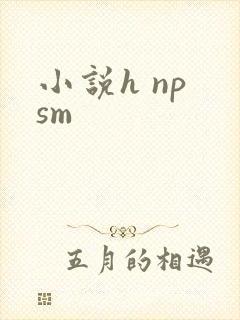 小说h np sm封面
