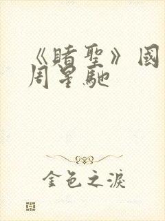 《赌圣》国语版周星驰