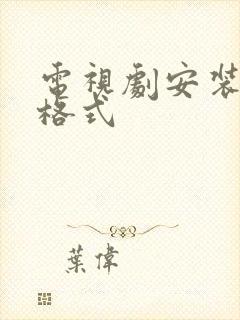 电视剧安装软件格式