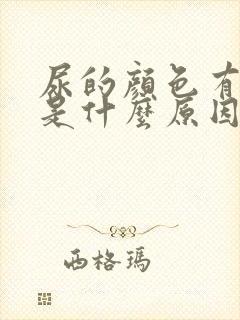 尿的颜色有点红是什么原因