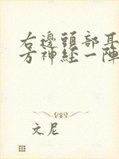 右边头部耳朵上方神经一阵阵痛