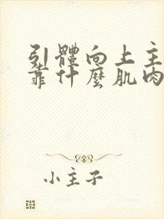 引体向上主要是靠什么肌肉发力