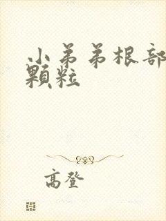 小弟弟根部白色颗粒