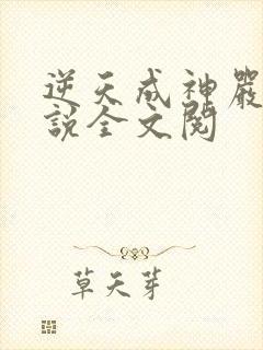 逆天成神严麒小说全文阅