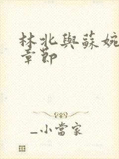 林北与苏婉最新章节