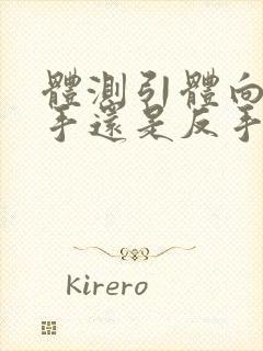 体测引体向上正手还是反手