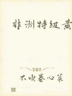 非洲特级黄色片