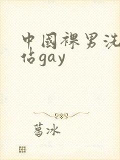 中国裸男洗澡网站gay