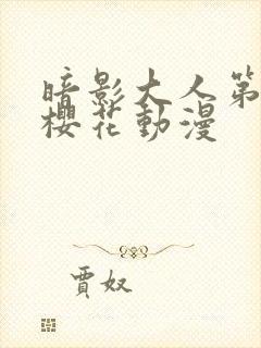 暗影大人第一季樱花动漫