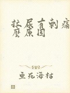 拉尿有刺痛感什么原因