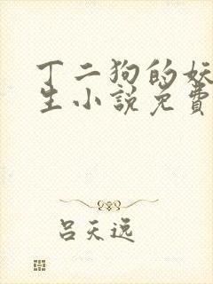 丁二狗的妖孽人生小说免费阅读全文封面