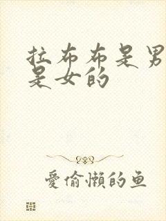 拉布布是男的还是女的