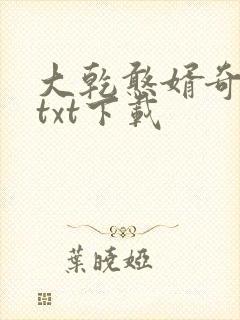 大乾憨婿奇书网txt下载