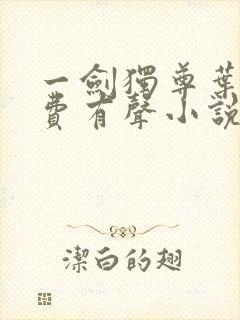 一剑独尊叶玄免费有声小说