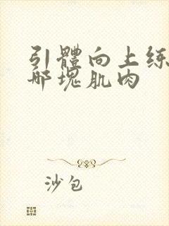 引体向上练背部哪块肌肉