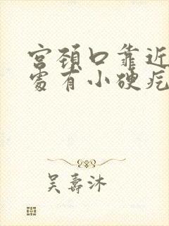 宫颈口靠近肛门处有小硬疙瘩