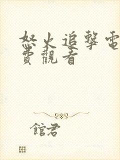 怒火追击电影免费观看