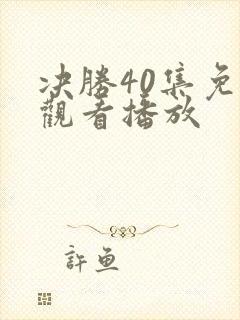 决胜40集免费观看播放