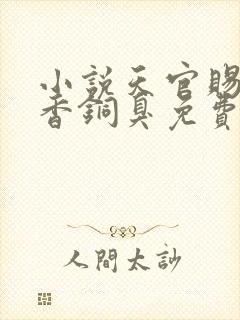 小说天官赐福墨香铜臭免费阅读