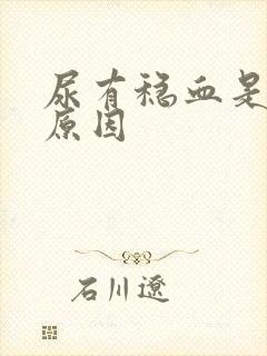 尿有稳血是什么原因封面