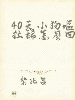 40天小狗呕吐拉稀怎么回事