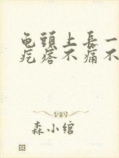 龟头上长一个肉疙瘩不痛不痒是怎么回事封面