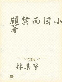 顾禁南囚小说原著