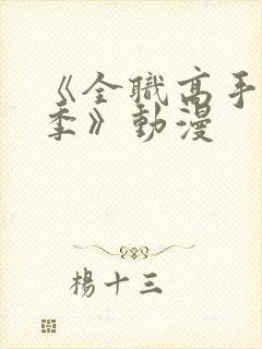 《全职高手第二季》动漫