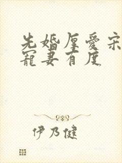 先婚厚爱宋先生宠妻有度