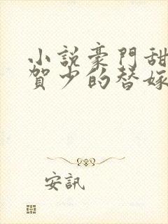 小说豪门甜宠:贺少的替嫁新娘