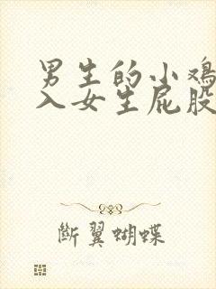 男生的小鸡鸡插入女生屁股里视频