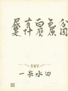 尿有白色分泌物是什么原因