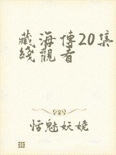 藏海传20集在线观看封面