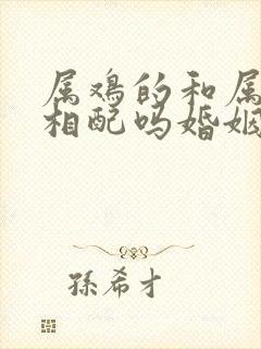 属鸡的和属龙的相配吗婚姻