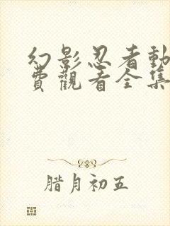 幻影忍者动漫免费观看全集完整版封面